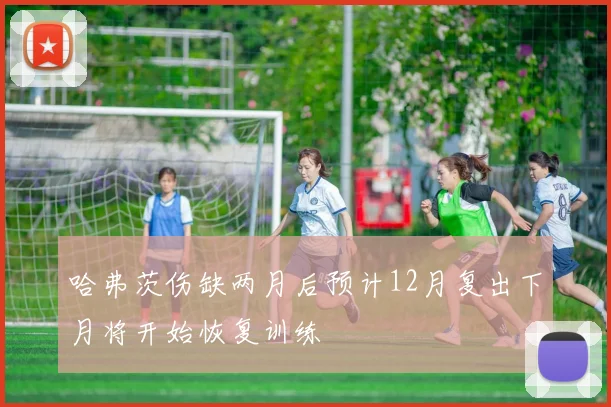 哈弗茨伤缺两月后预计12月复出下月将开始恢复训练