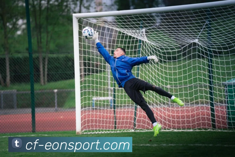 App Interface Preview