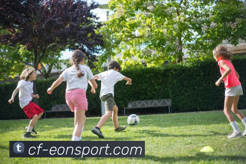 沙巴体育APP 封面图